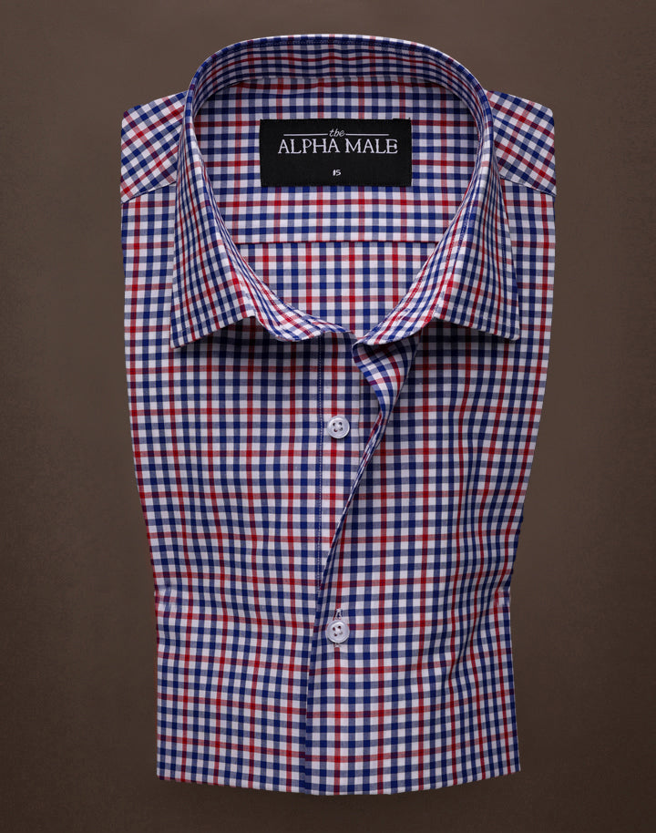 Gingham Checkered in Red & Blue