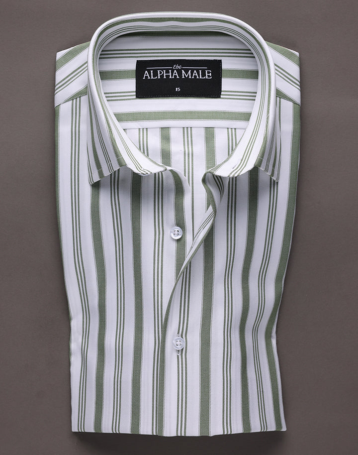 Awning Stripes in White & Green