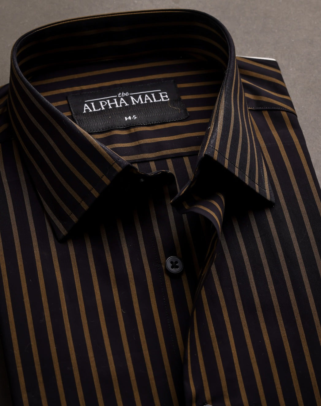 Black & Bronze Stripes