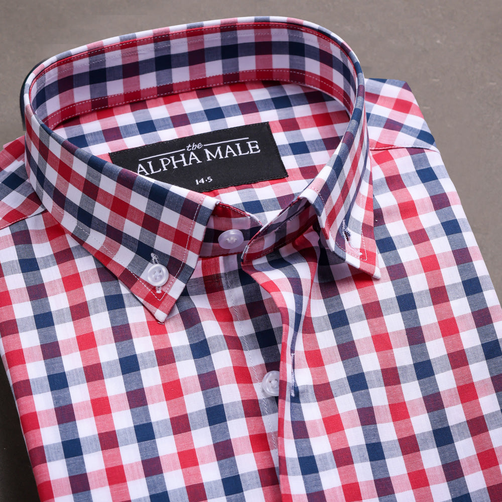 Gingham Red & Blue